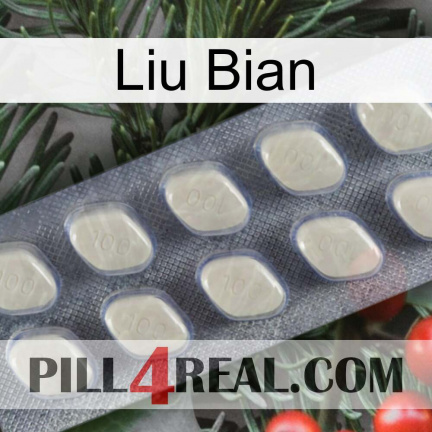Liu Bian 08